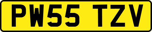 PW55TZV