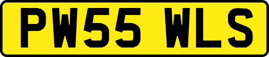 PW55WLS