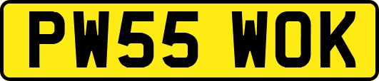PW55WOK
