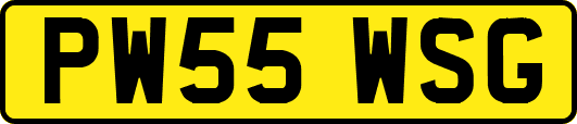 PW55WSG