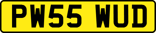 PW55WUD