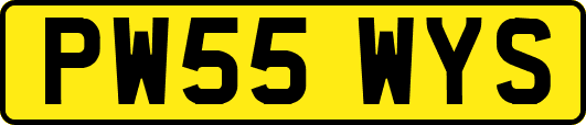 PW55WYS