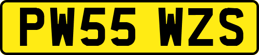 PW55WZS
