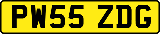 PW55ZDG