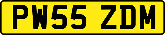 PW55ZDM