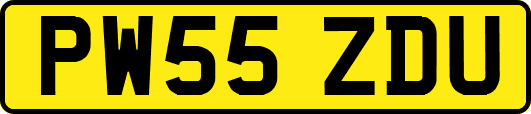 PW55ZDU