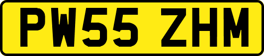 PW55ZHM