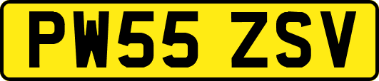 PW55ZSV