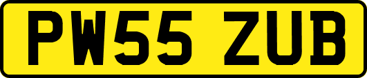 PW55ZUB