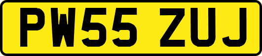 PW55ZUJ