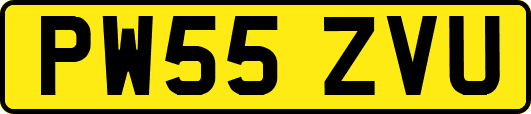 PW55ZVU