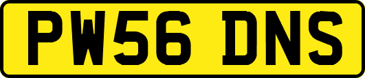 PW56DNS