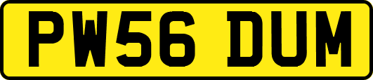 PW56DUM