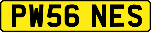 PW56NES