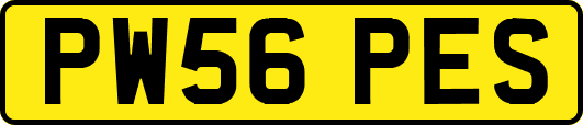 PW56PES