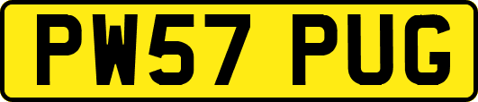 PW57PUG