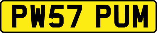 PW57PUM