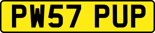 PW57PUP