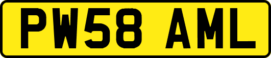 PW58AML