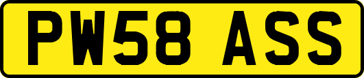 PW58ASS