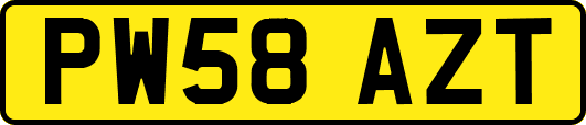PW58AZT