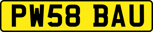 PW58BAU