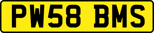 PW58BMS