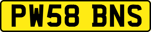 PW58BNS
