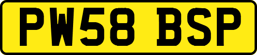 PW58BSP