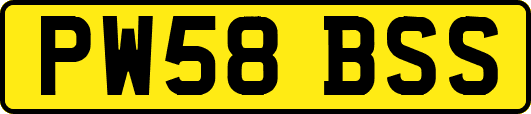 PW58BSS