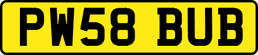 PW58BUB