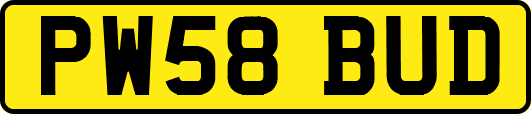 PW58BUD
