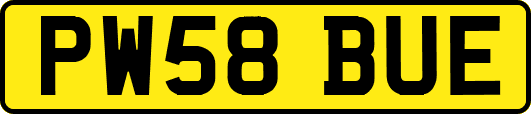 PW58BUE