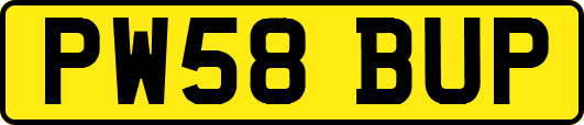 PW58BUP