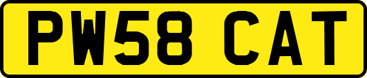 PW58CAT