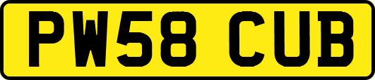 PW58CUB