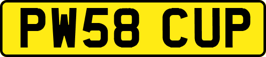 PW58CUP