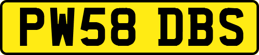 PW58DBS