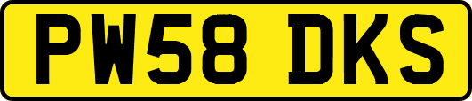 PW58DKS