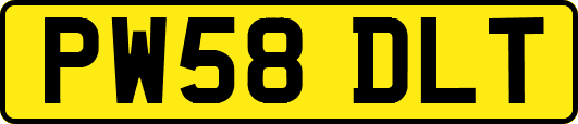 PW58DLT