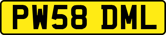PW58DML