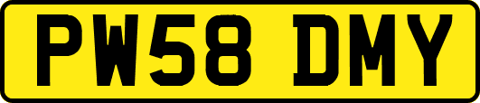 PW58DMY