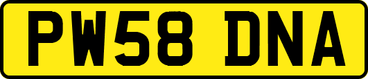 PW58DNA