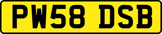 PW58DSB
