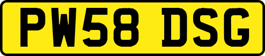 PW58DSG