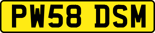 PW58DSM