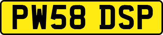 PW58DSP