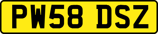 PW58DSZ