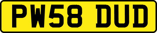 PW58DUD