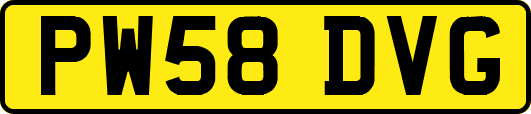 PW58DVG